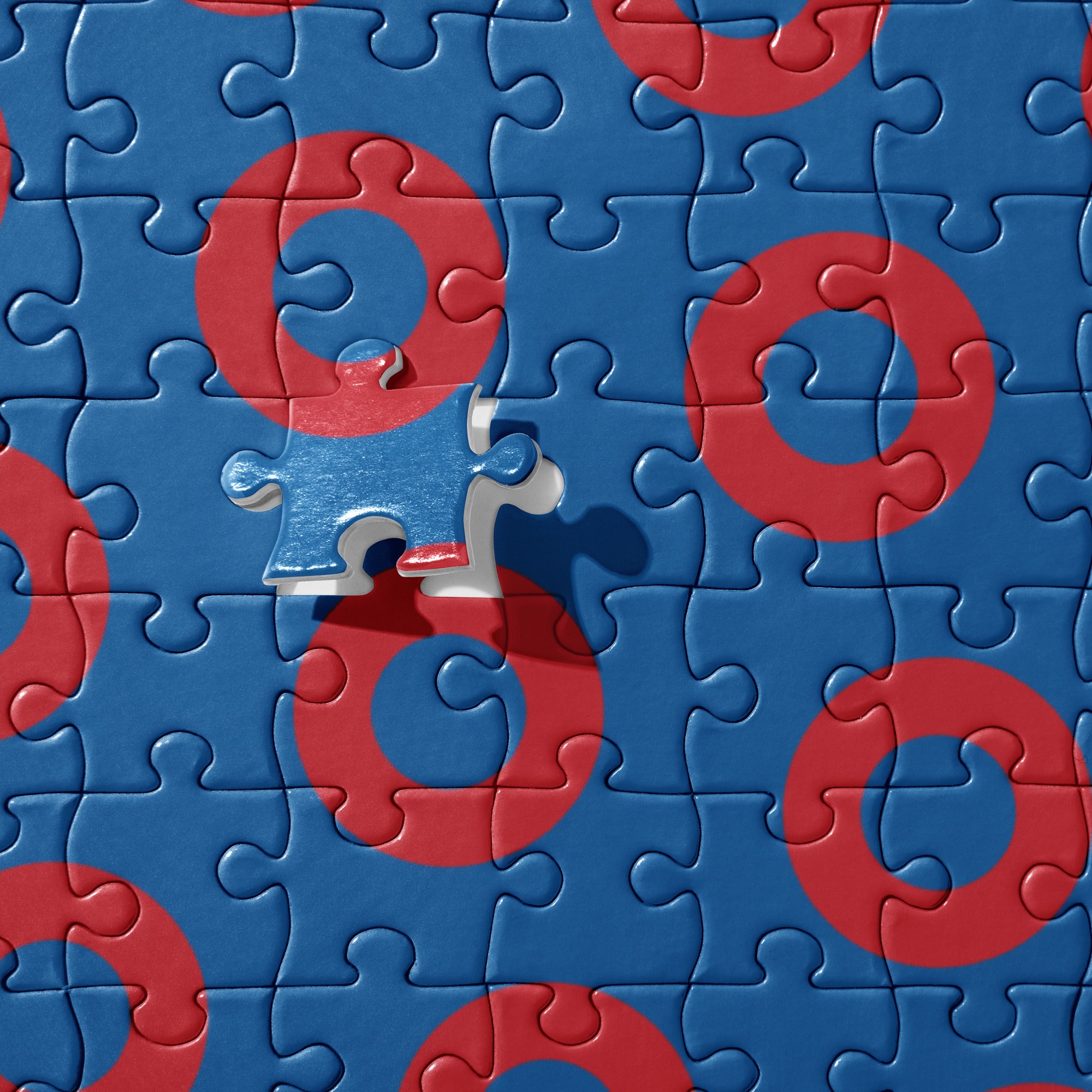 Fishman Donut Jigsaw Puzzle