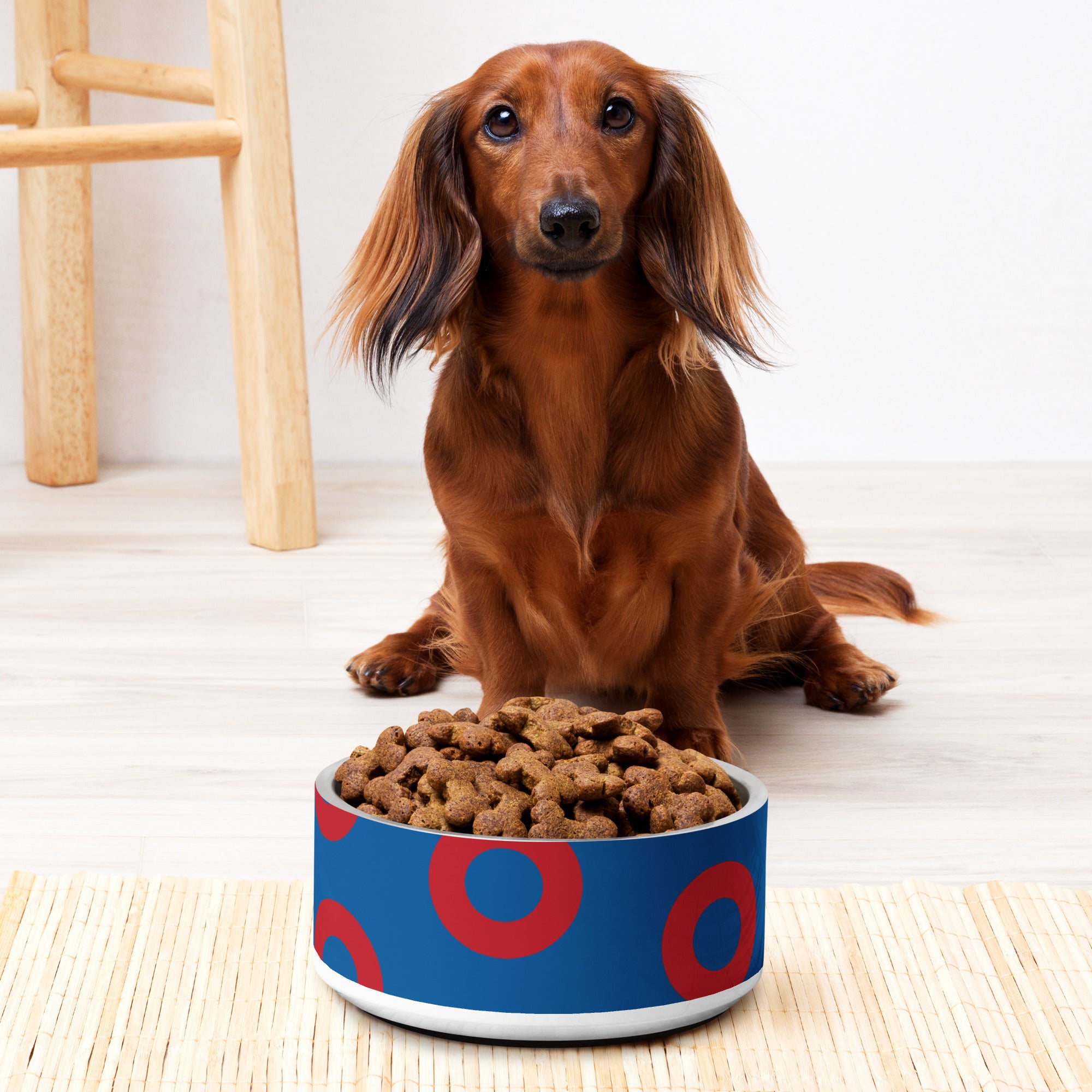 Fishman Donut Pet Bowl