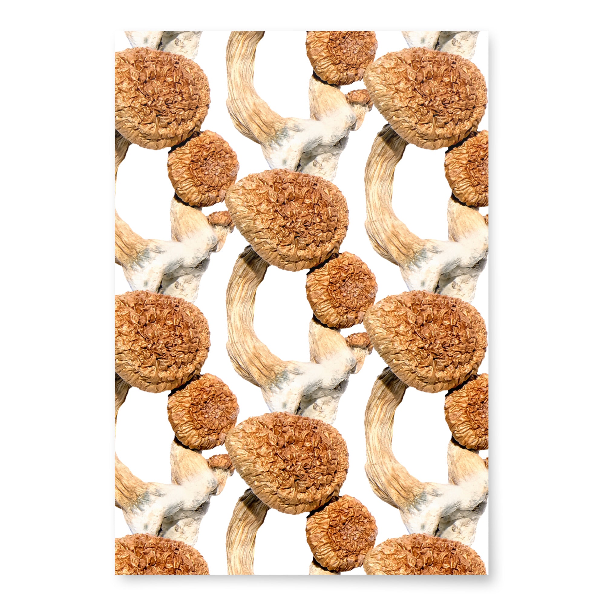 Premium Wrapping Paper Set Magic Mushroom