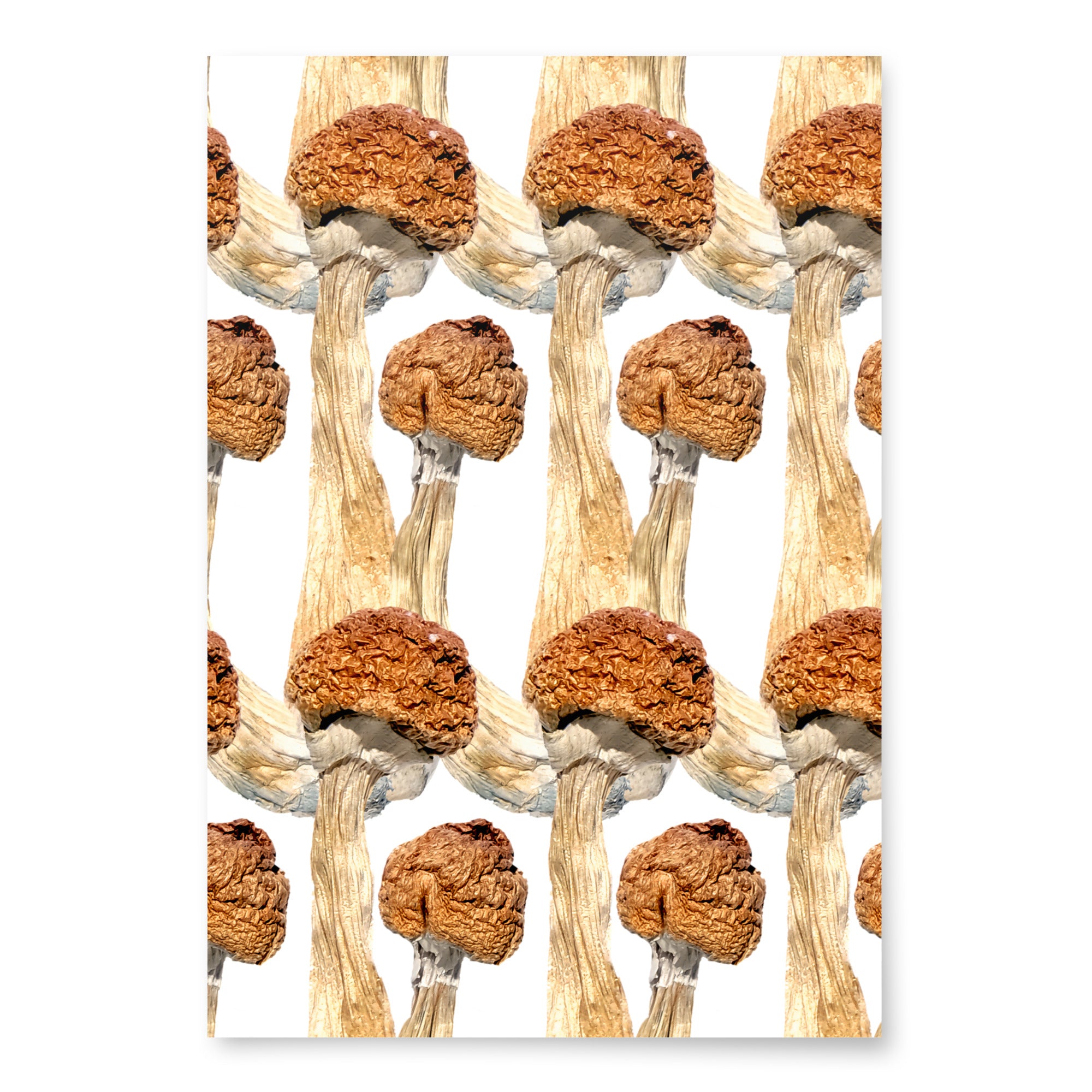 Premium Wrapping Paper Set Magic Mushroom