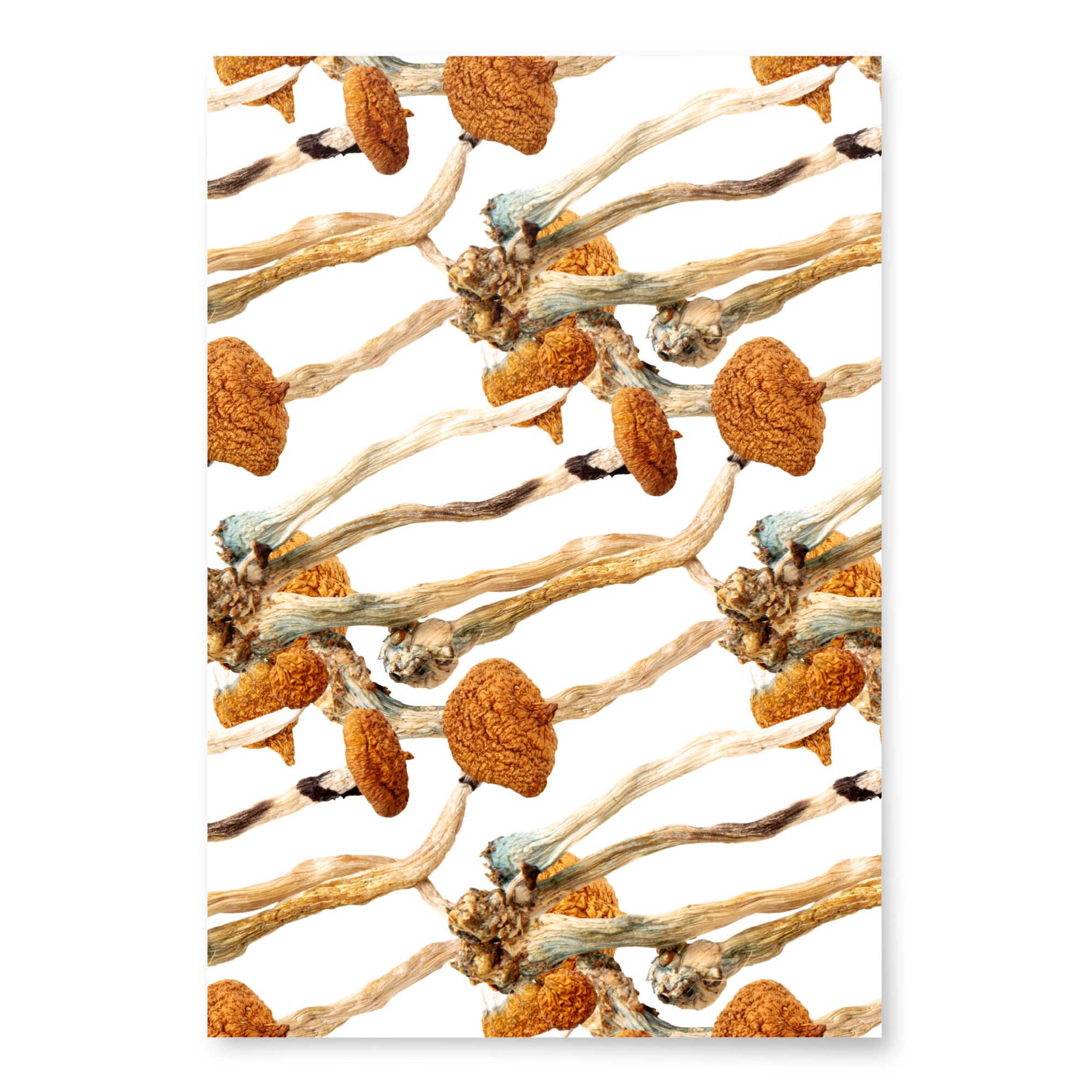 Premium Wrapping Paper Set Magic Mushroom